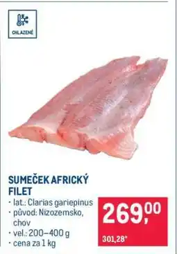 Makro Sumeček africký filet nabídka