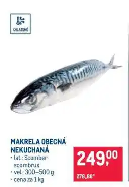 Makro Makrela obecná nekuchaná nabídka