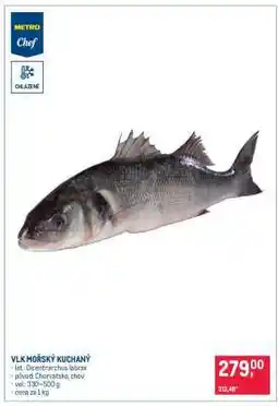 Makro Vlk mořský kuchaný nabídka