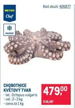 Makro Chobotnice květový tvar nabídka