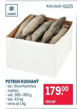 Makro PSTRUH KUCHANÝ nabídka