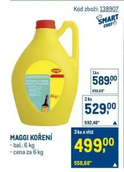 Makro Maggi koření nabídka