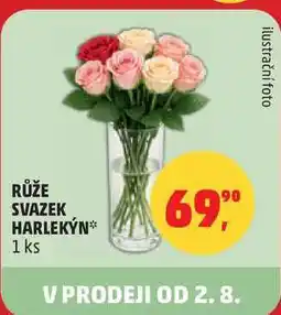 Penny Market RŮŽE SVAZEK HARLEKÝN, 1 ks nabídka