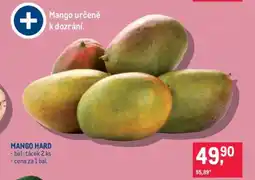 Makro MANGO HARD nabídka