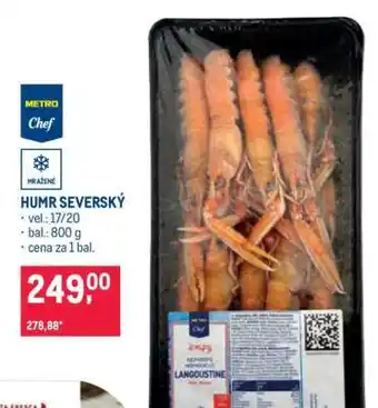 Humr severský