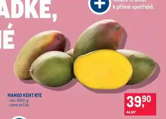 Makro MANGO KENT RTE nabídka