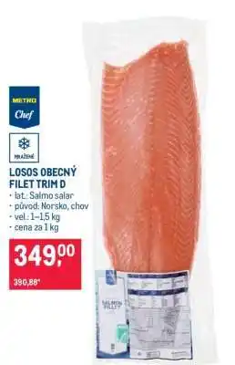 Makro Losos obecný filet trim D nabídka