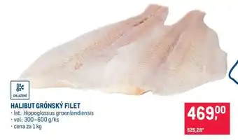 Makro Halibut grónský filet nabídka