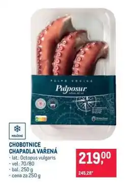 Makro Chobotnice chapadla vařená nabídka