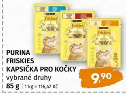 Terno Purina Friskies kapsička pro kočky nabídka