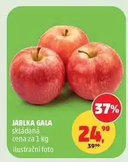 Penny Market JABLKA GALA nabídka