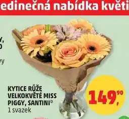 Penny Market Kytice růže velkokvěté Miss Piggy, Santini nabídka