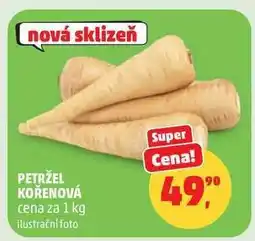 Penny Market Petržel kořenová nabídka