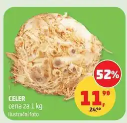 Penny Market Celer nabídka