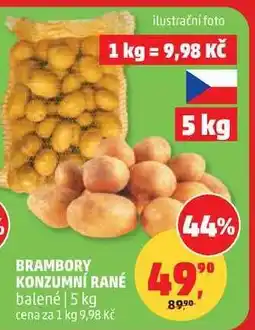 Penny Market Brambory konzumní rané nabídka