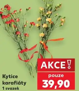 Kaufland Kytice karafiáty nabídka