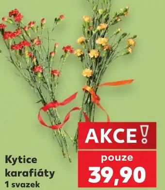 Kaufland Kytice karafiáty nabídka