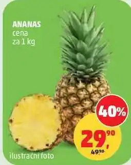 Penny Market ANANAS nabídka
