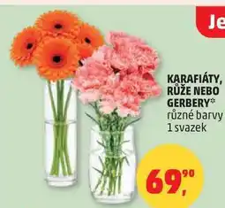 Penny Market KARAFIÁTY, RŮŽE NEBO GERBERY různé barvy, 1 svazek nabídka