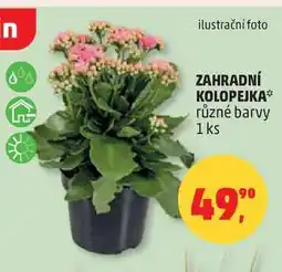 Penny Market ZAHRADNÍ KOLOPEJKA různé barvy, 1 ks nabídka