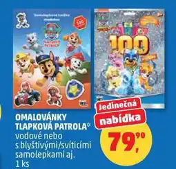 Penny Market OMALOVÁNKY TLAPKOVÁ PATROLA, vodové nebo s blyštivými/svítícími samolepkami, 1 ks nabídka