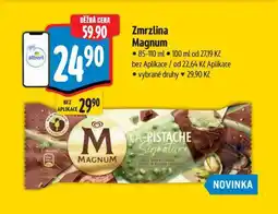 Albert Zmrzlina Magnum nabídka