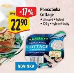 Albert POMAZÁNKA COTTAGE nabídka