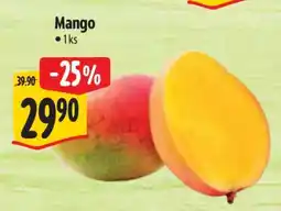 Albert Mango nabídka