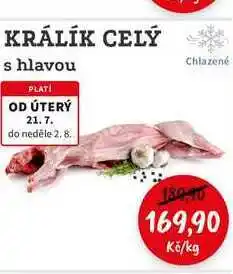 RABBIT řeznictví KRÁLÍK CELÝ s hlavou nabídka