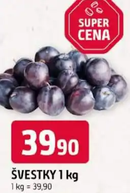 Trefa Švestky nabídka