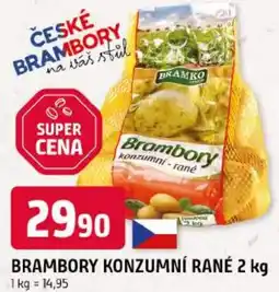 Trefa Brambory konzumní rané nabídka