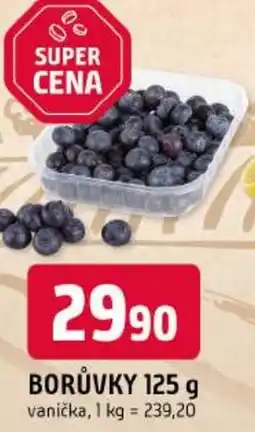 Trefa Borůvky nabídka