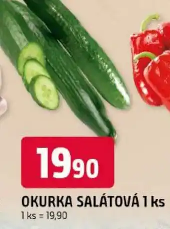Trefa Okurka salátová nabídka