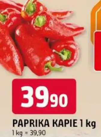 Trefa Paprika kapie nabídka