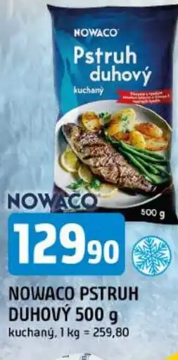 Trefa Nowaco pstruh duhový nabídka