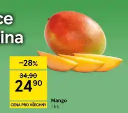 Tesco Mango nabídka