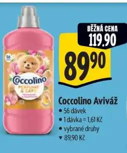 Albert Coccolino aviváž nabídka