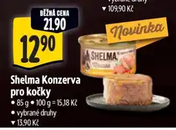 Albert Shelma Konzerva pro kočky nabídka