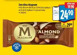 Albert Zmrzlina Magnum nabídka