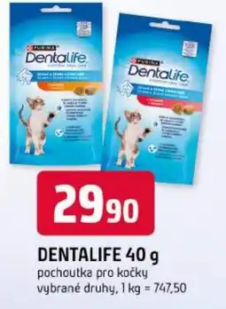 Trefa Dentalife nabídka