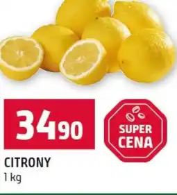 Terno Citrony nabídka