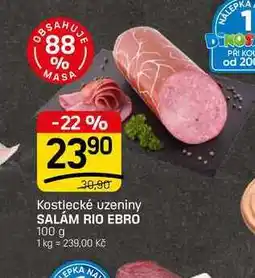 Flop SALÁM RIO EBRO nabídka