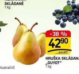 Flop HRUŠKA SKLÁDAN ,,GUYOT nabídka