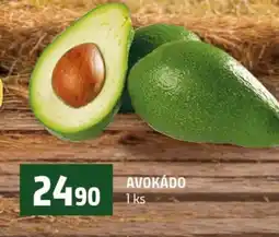 Terno Avokádo nabídka