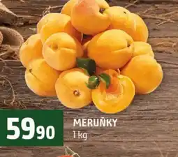 Terno Meruňky nabídka