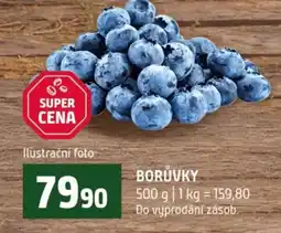 Terno Borůvky nabídka