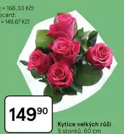 Tesco Kytice velkých růží 5 stonků, 60 cm nabídka