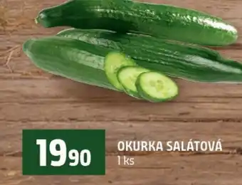 Terno Okurka salátová nabídka