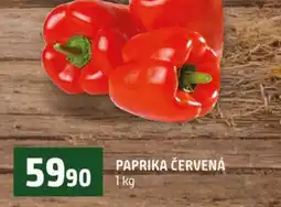 Terno Paprika červená nabídka