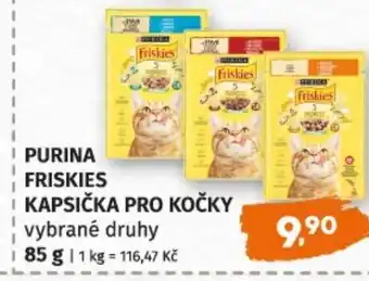 Terno Purina friskies kapsička pro kočky nabídka